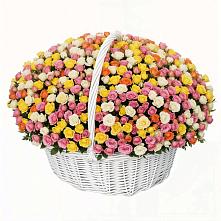 Премиум букет из: Розы в Сибирцево